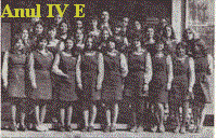 rosetti75-E-small