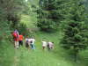 PICT0015