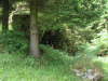PICT0027