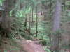 PICT0028